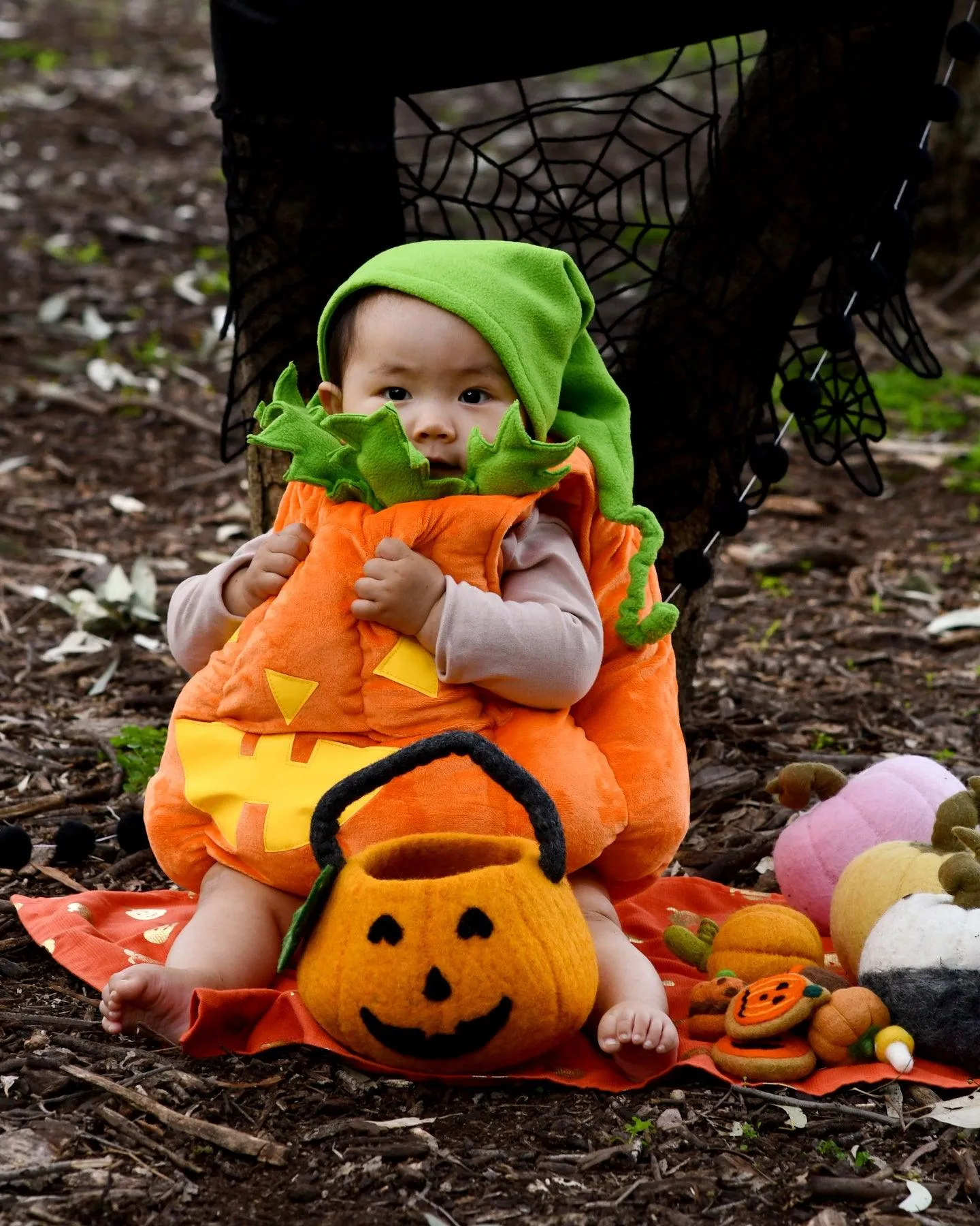 Felt Jack O' Lantern Pumpkin Bag