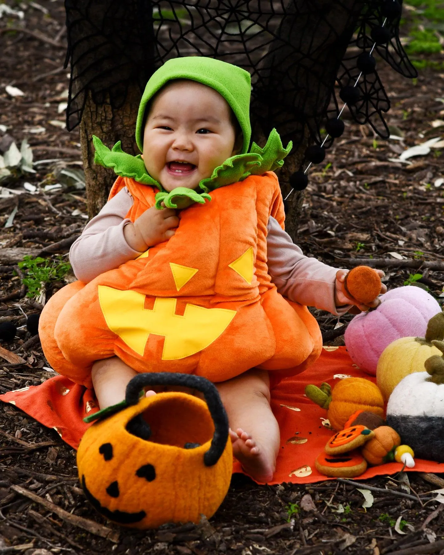 Felt Jack O' Lantern Pumpkin Bag