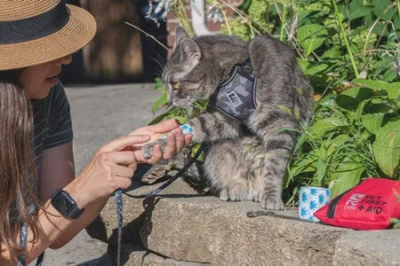 RC Pocket Pet First Aid Kit